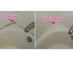 Черная плесень в ванной: как удалить?